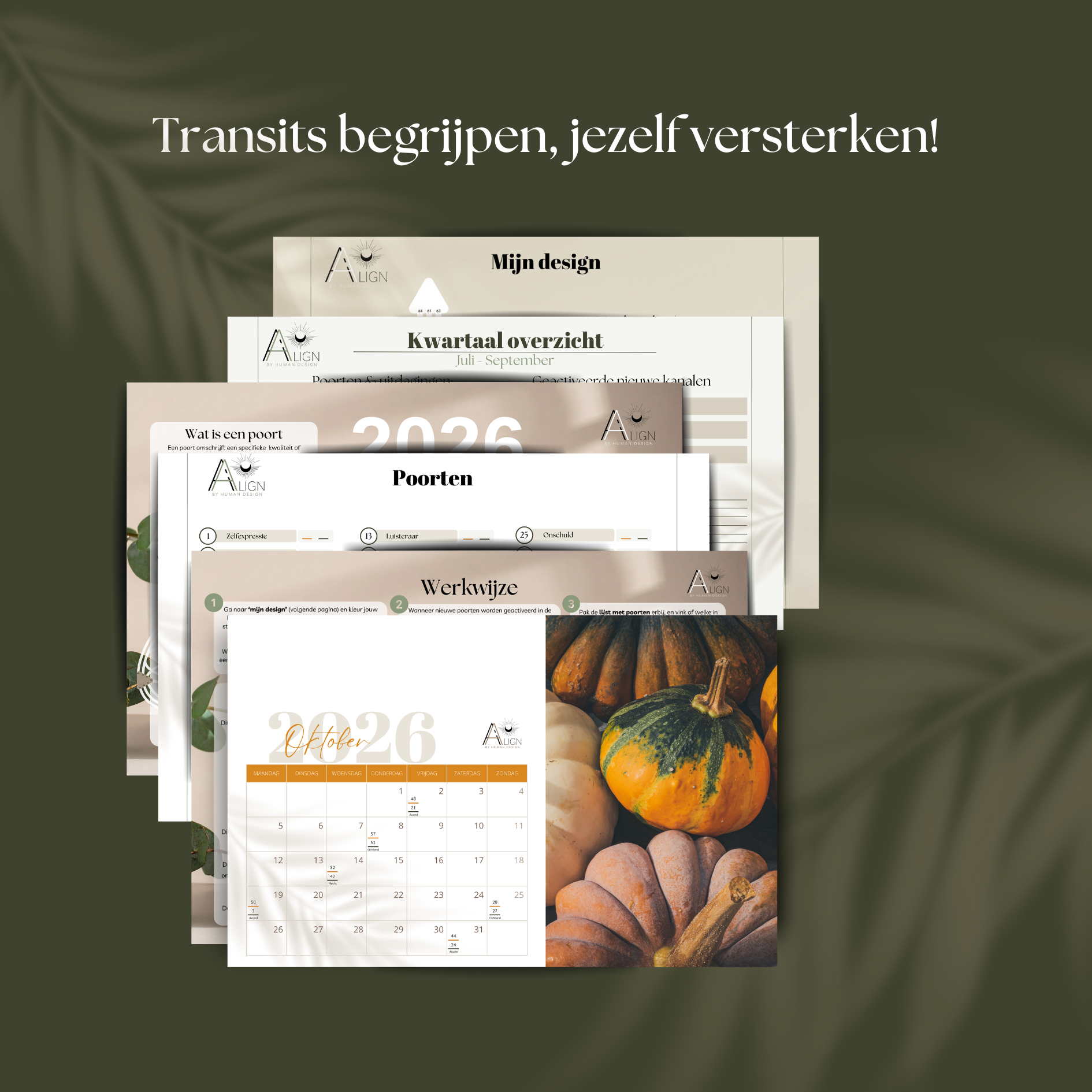 Transit kalender 2026 - Afbeelding 2